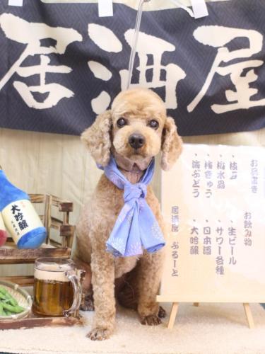 20240625ノンくん